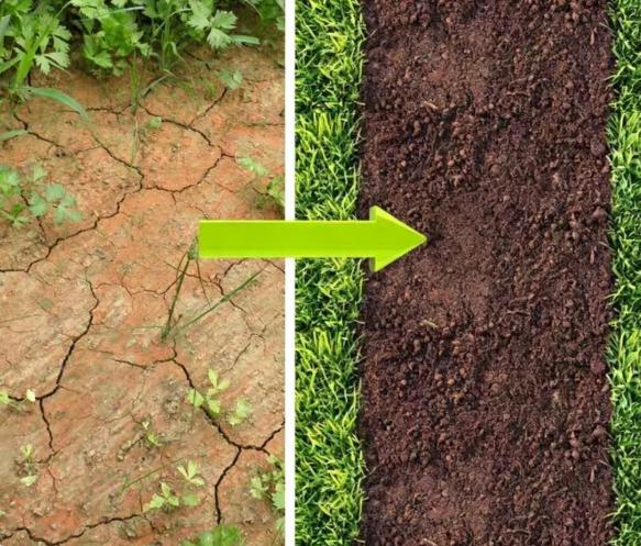 Soil-conditioner comparison for soil structure improvement evaluation